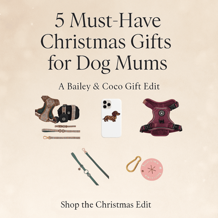 5 Must-Have Gifts for Dog Mums This Christmas 2025 - Bailey and Coco (UK)