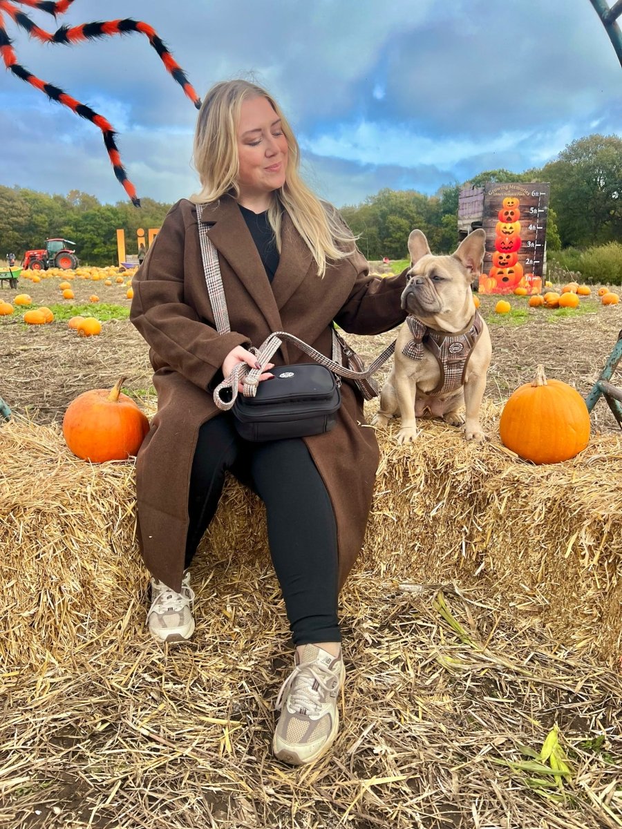 Bailey & Coco: Dog Harnesses for Gift Shops – Why Pet Accessories Boost Sales