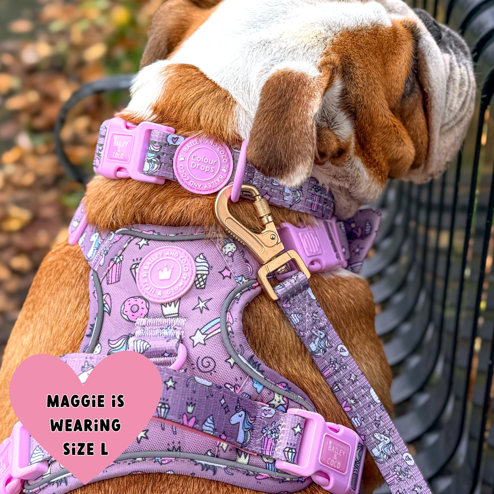 Best Dog Collar for Dogs That Pull UK 2026 - Bailey and Coco (UK)