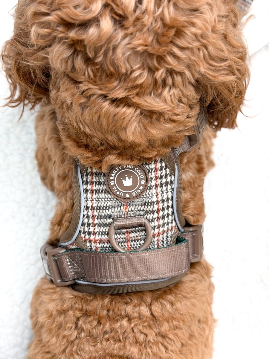 Best Dual D-Ring Dog Harness UK – 2025 Buyer’s Guide