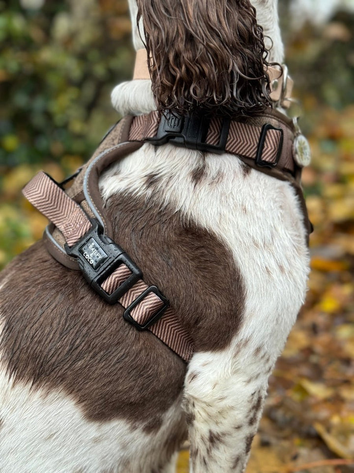Best Harness for Springer Spaniels UK 2026: Sizing, Fit & Walking Guide - Bailey and Coco (UK)