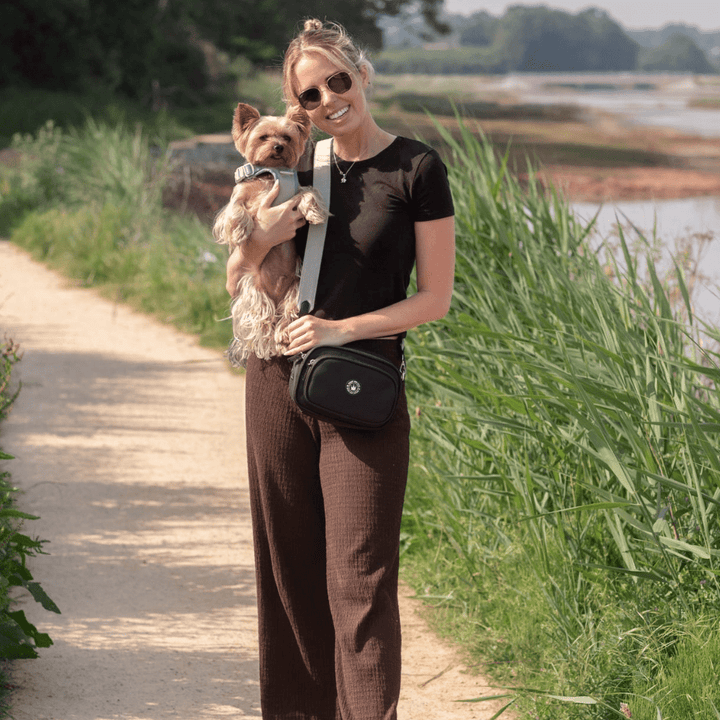 Best Harness for Yorkshire Terriers UK 2026: The Gentle, No Over-Head Guide - Bailey and Coco (UK)