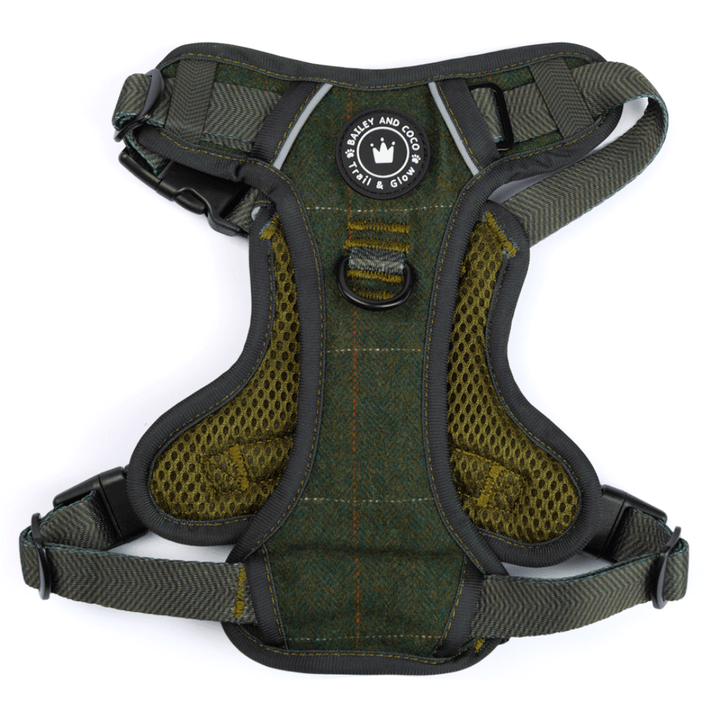 Best Tweed Dog Harness Styles in the UK (2025 Buyer’s Guide) - Bailey and Coco (UK)