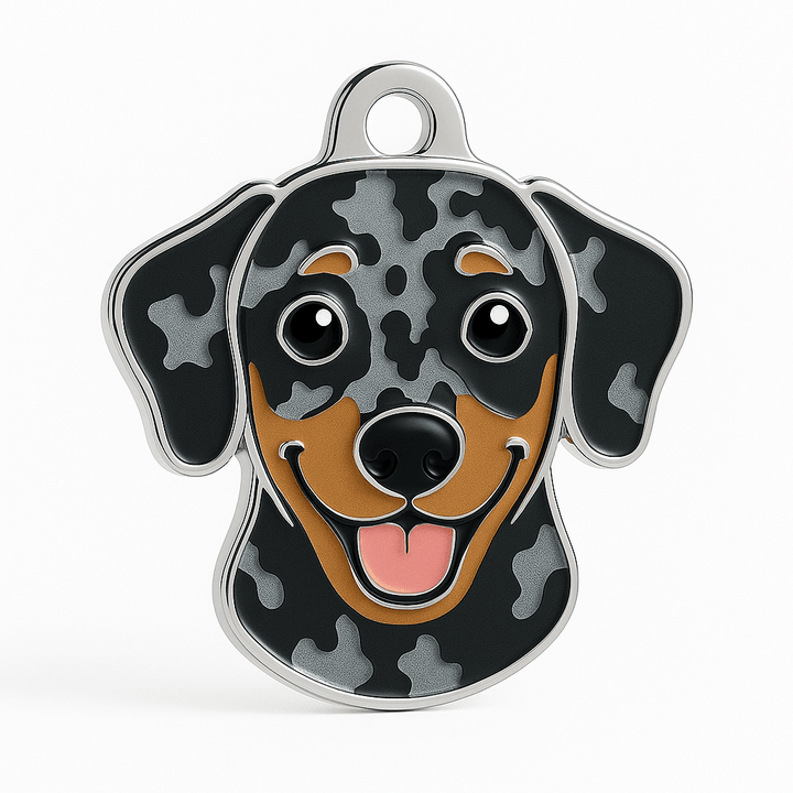 Dog ID Tag - Why It’s Essential & What to Include - Bailey and Coco (UK)