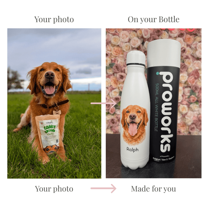Dog Water Bottle Size Guide: How Much Water Does Your Dog Need? - Bailey and Coco (UK)