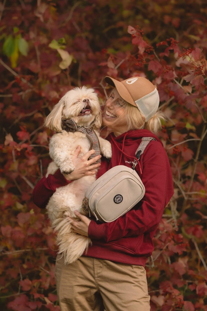 Gifts for Dog Lovers UK 2026, The Ultimate Guide - Bailey and Coco (UK)