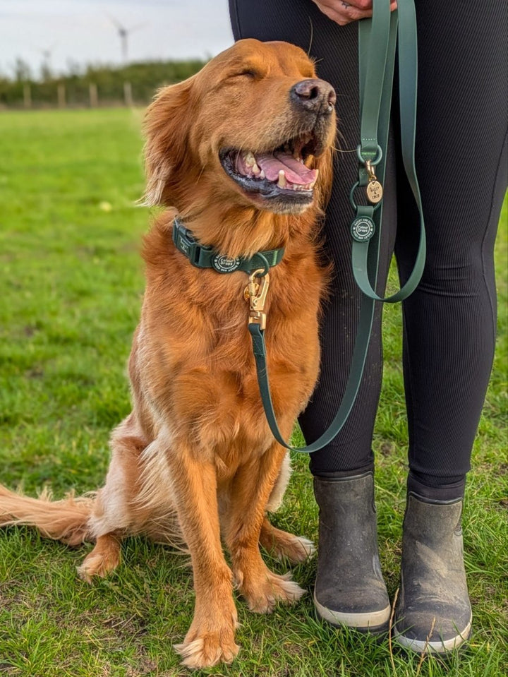 Gifts for Dog Walkers UK - Bailey and Coco (UK)