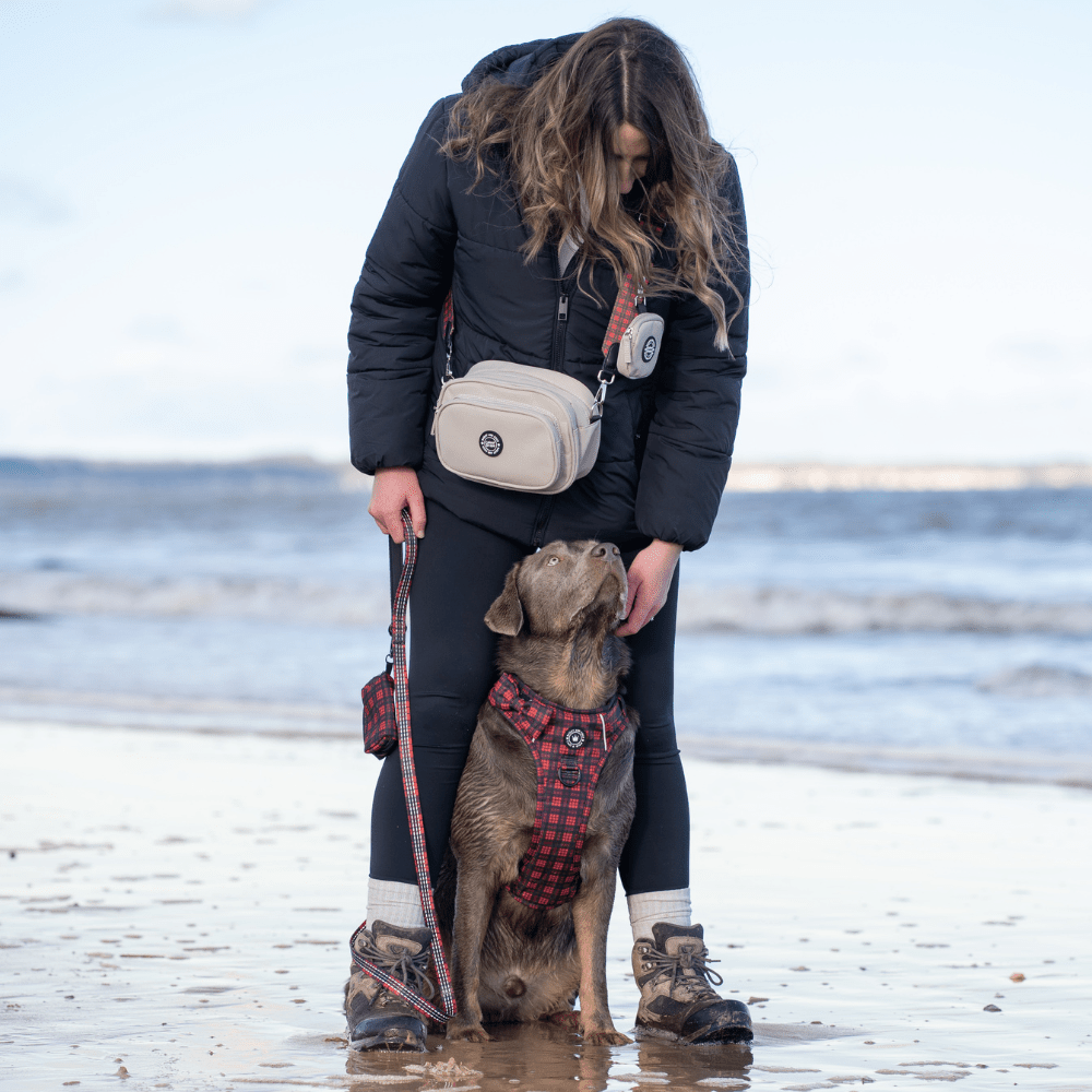 Waterproof Dog Walking Bags for British Weather: Stay Dry, Hands-Free & Organised