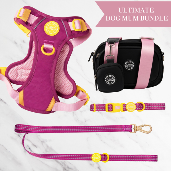 We're Jammin Adjustable Dog Harness, Lead, Collar & Dog Walking Bag Bundle
