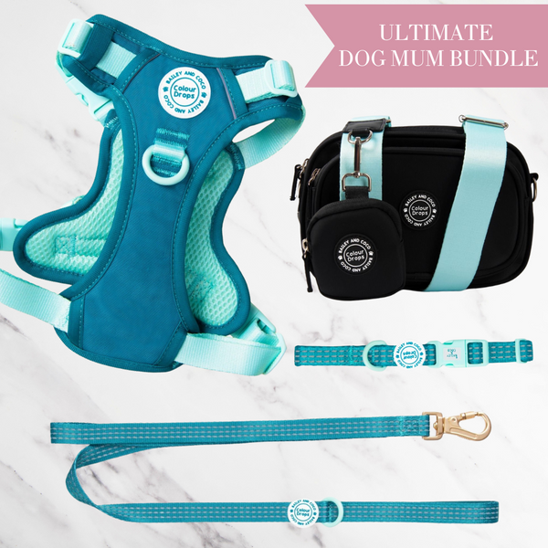 Ice Teal Adjustable Dog Harness, Lead, Collar & Dog Walking Bag Bundle