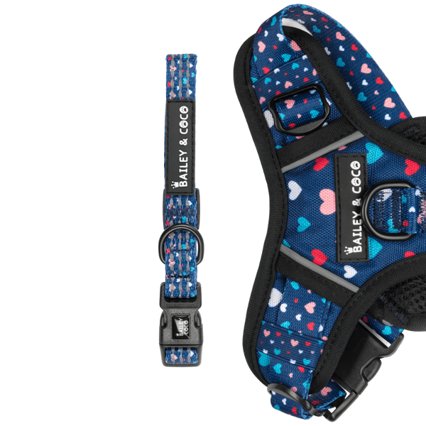Trail & Glow® Collar - All You Need Is Love