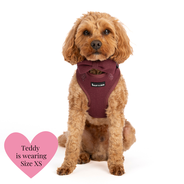 Adjustable Dog Harness Bundle Set - Mulberry Tweed - alternate view