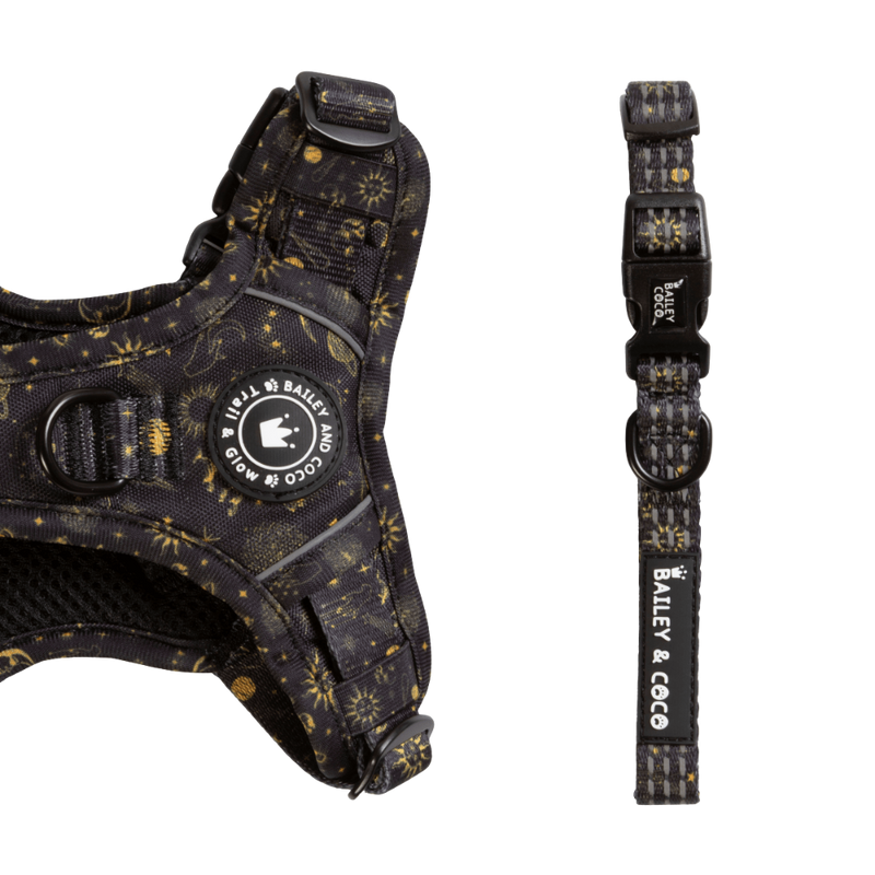 Trail & Glow® Collar - Celestial