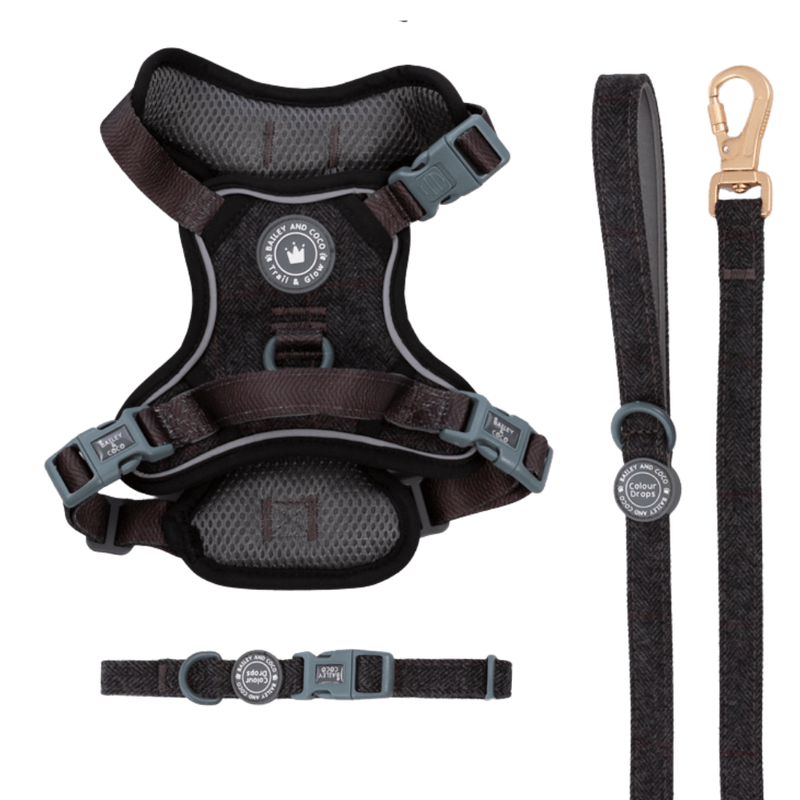 Charcoal Tweed Trail & Glow Dog Harness, Lead & Collar Bundle