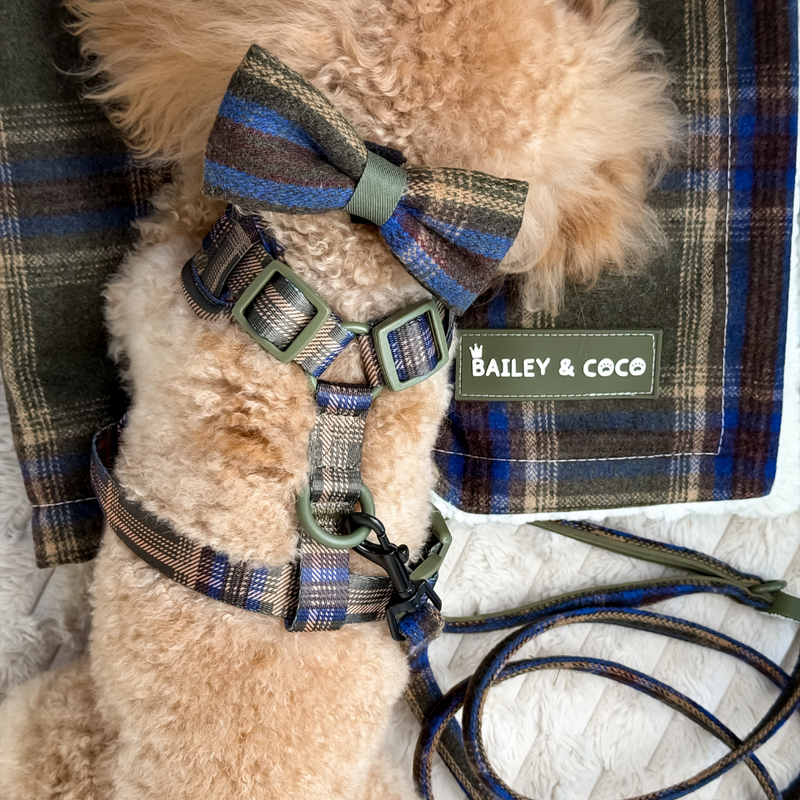 Mayfair Tweed Dog Harness - Adjustable Neck Dog Harness