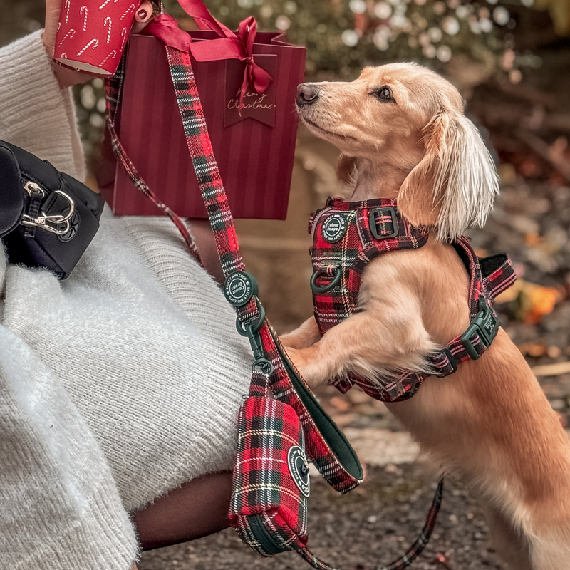 Poo Bag Holder - Colour Drops - Red Highland Tartan