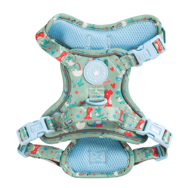 Dinosaur Dog Harness – Dino Party Reflective No-Pull