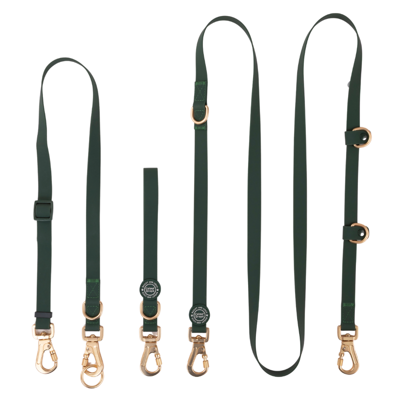 Hands-Free Double Ended Dog Lead Complete Set – Mulberry.
