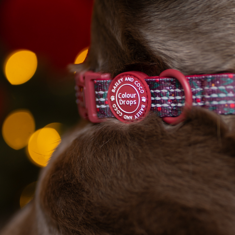 Adjustable Collar - Colour Drops - Jingle Berry