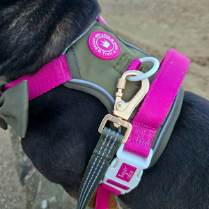 Trail & Glow® Dog Lead 5ft - COLOUR DROPS® - Olive it Hot