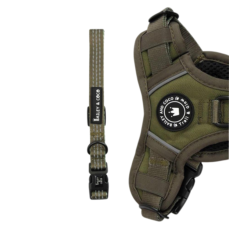 Trail & Glow® Collar - The Khaki One