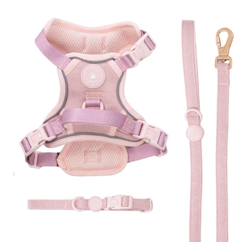 Lavender Tweed Trail & Glow Dog Harness, Lead & Collar Bundle (Copy).