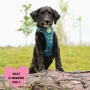 Trail & Glow Dog Harness - COLOUR DROPS® - Touch Grass