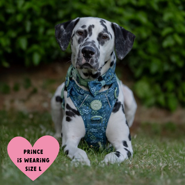 Touch Grass Adjustable Dog Harness, Lead & Collar Bundle - alternate view