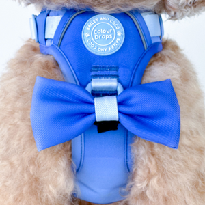 Trail & Glow Dog Harness - COLOUR DROPS® - Head in the Clouds