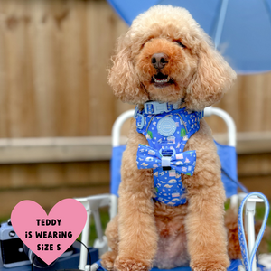 Trail & Glow Dog Harness - COLOUR DROPS® - Pitch, Please