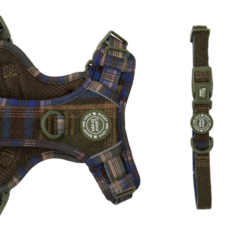 Adjustable Collar - Colour Drops - Mayfair Tweed.