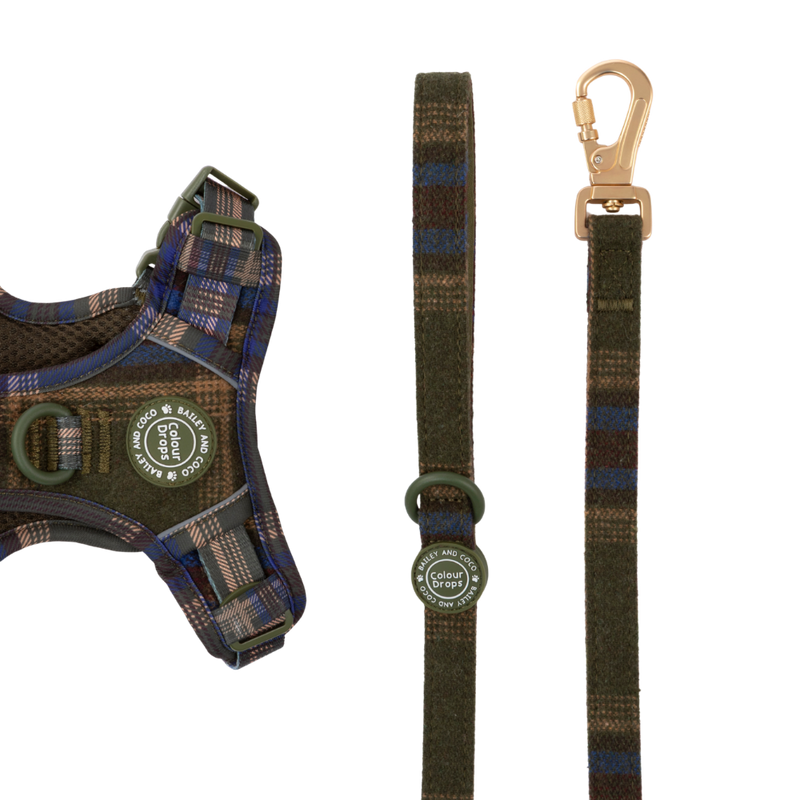 Dog Lead 5ft - Colour Drops - Mayfair Tweed.