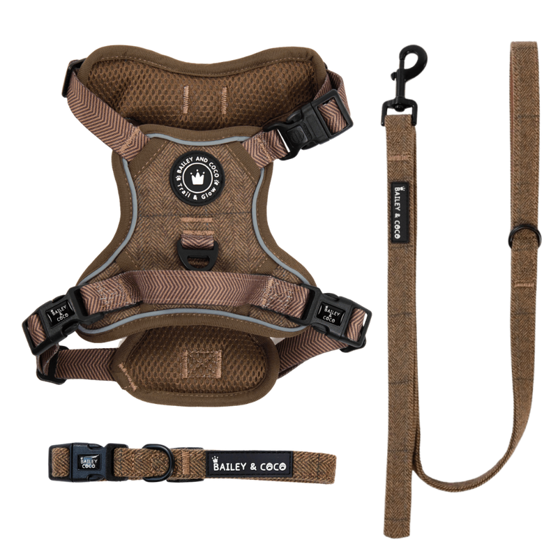 Oxford Tweed Trail & Glow Dog Harness, Lead & Collar Bundle