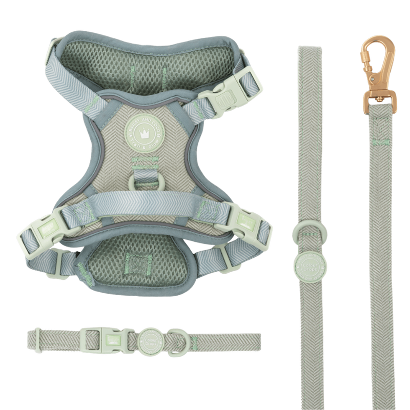 Sage Tweed Trail & Glow Dog Harness, Lead & Collar Bundle
