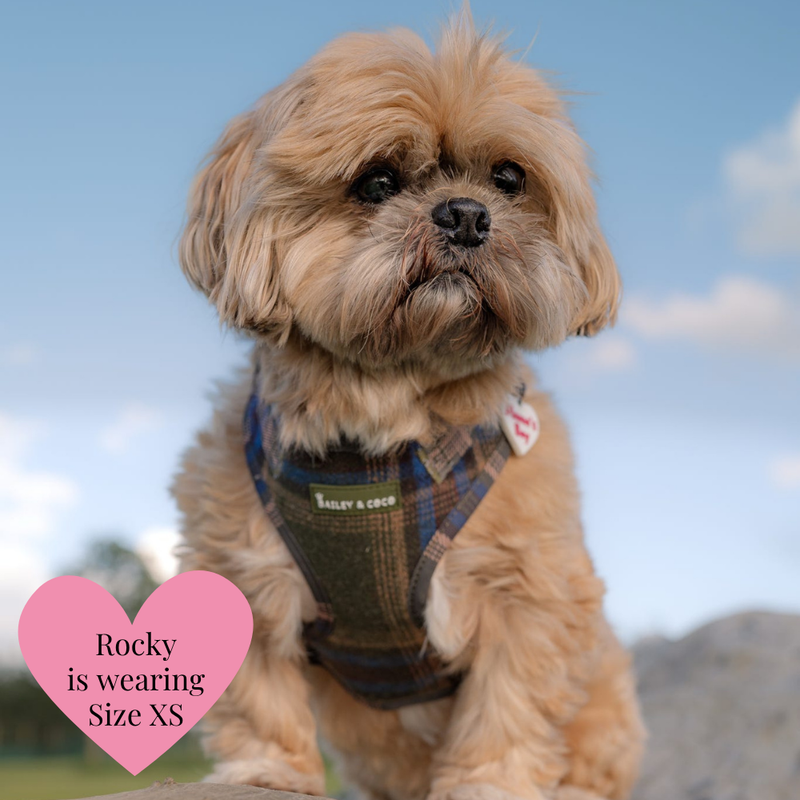 Mayfair Tweed - Colour Drops - Lightweight & Adjustable Dog Harness, Lead, Collar & Dog Walking Bag Bundle.