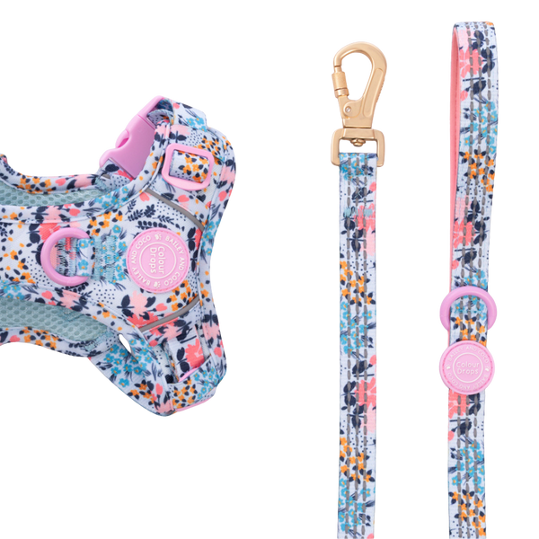 Trail & Glow Dog Lead 5ft - Colour Drops - Spring Dreams
