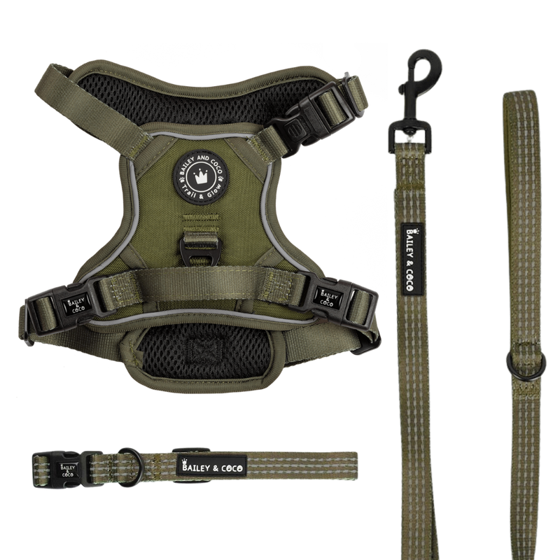 The Khaki One Trail & Glow Dog Harness, Lead & Collar Bundle