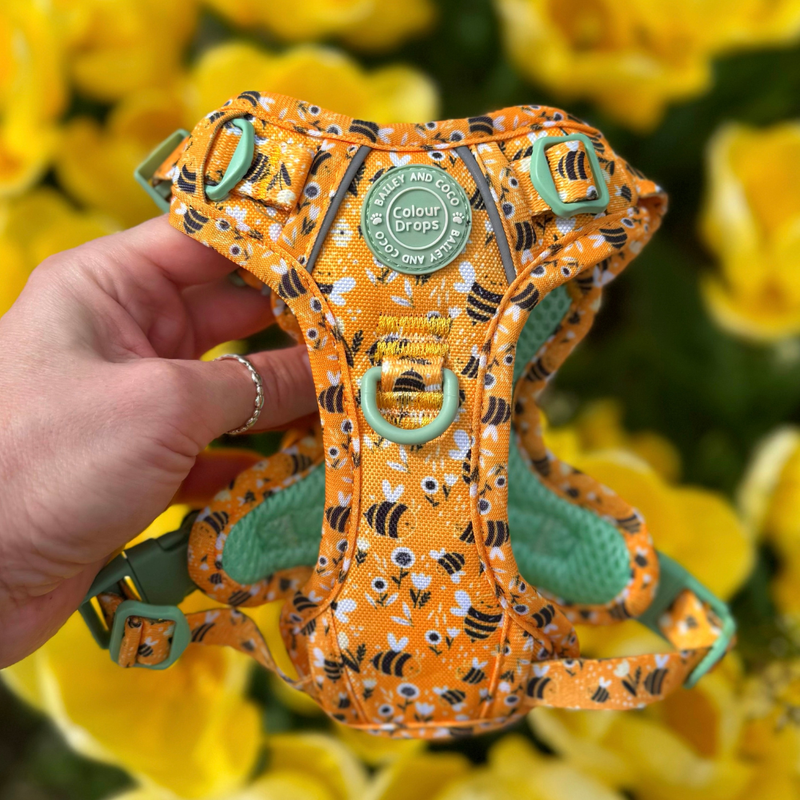Dog Harness - Colour Drops - Wanna-Bee