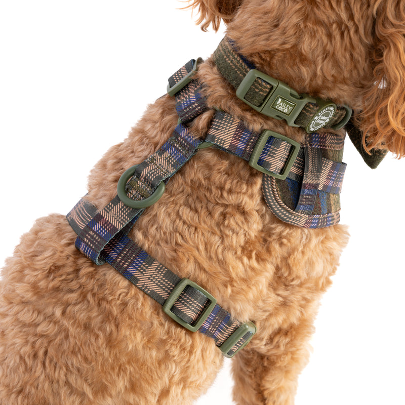 Mayfair Tweed - Colour Drops - Lightweight & Adjustable Dog Harness, Lead, Collar & Dog Walking Bag Bundle.