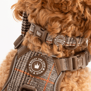 Adjustable Collar - Colour Drops - Heritage Plaid - Bailey and Coco (UK)