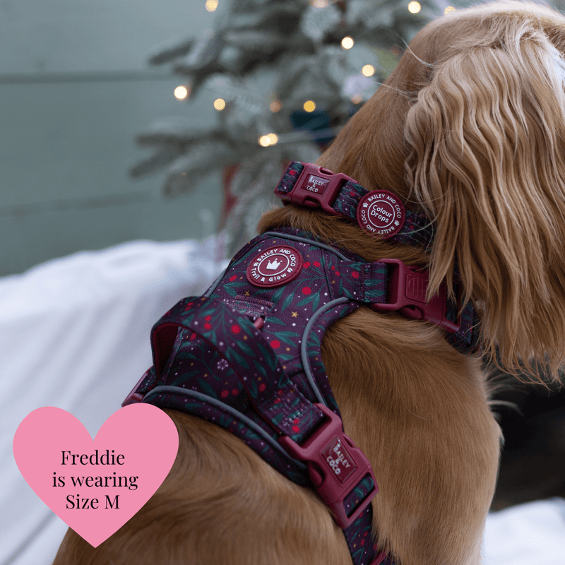 Adjustable Collar - Colour Drops - Jingle Berry - Bailey and Coco (UK)