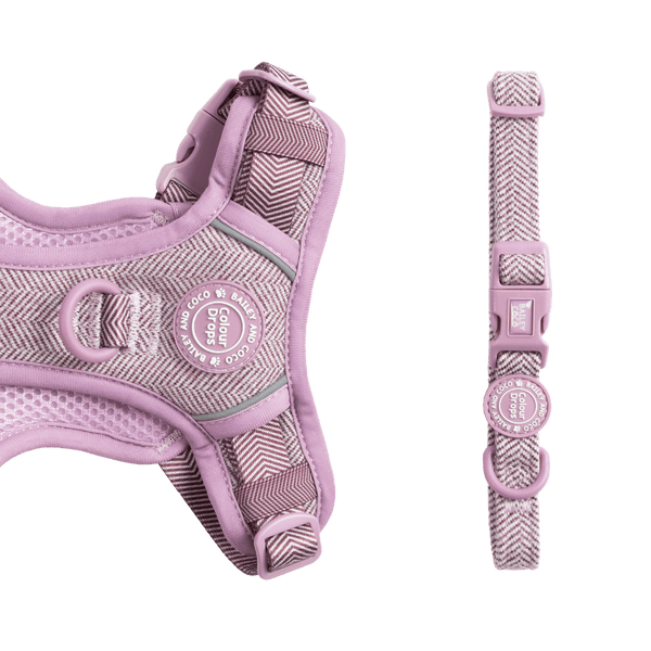 Adjustable Collar - Colour Drops - Plum Tweed - Bailey and Coco (UK)