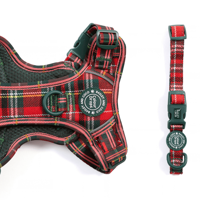 Adjustable Collar - Colour Drops - Red Highland Tartan - Bailey and Coco (UK)