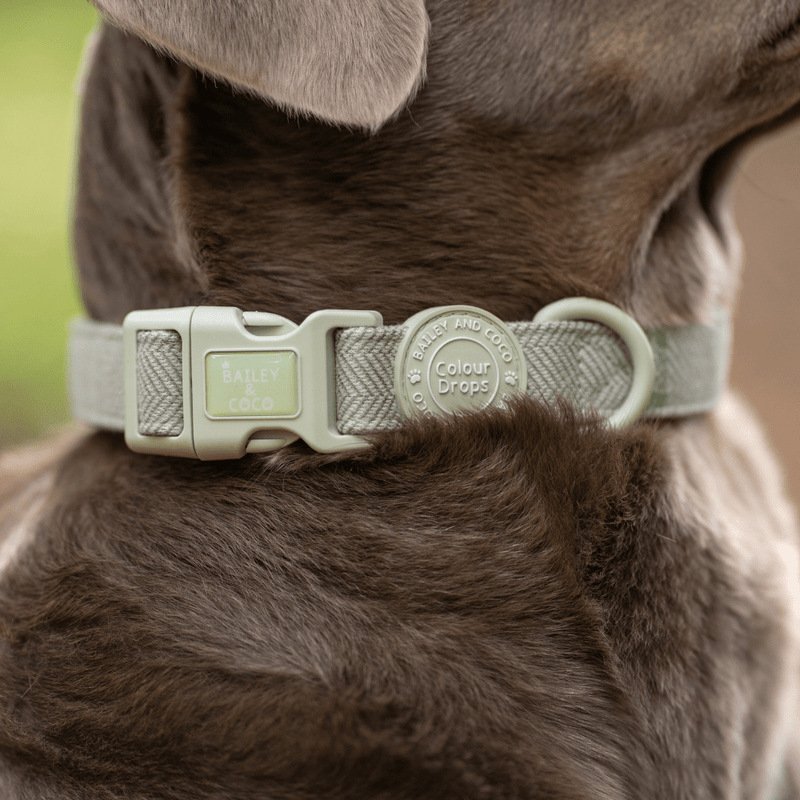 Adjustable Collar - Colour Drops - Sage Tweed - Bailey and Coco (UK)