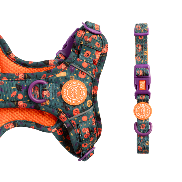 Adjustable Collar - Colour Drops - Spellbound Autumn - Bailey and Coco (UK)