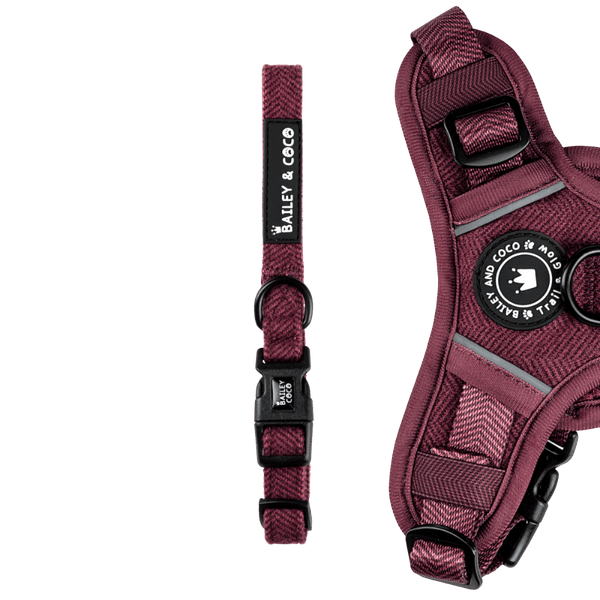 Adjustable Collar - Mulberry Tweed - Bailey and Coco (UK)