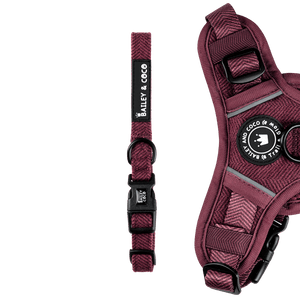 Adjustable Collar - Mulberry Tweed