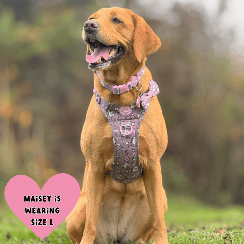 Be Unique Colour Drops - Adjustable Dog Harness, Lead, Collar & Black Dog Walking Bag Bundle - Bailey and Coco (UK)