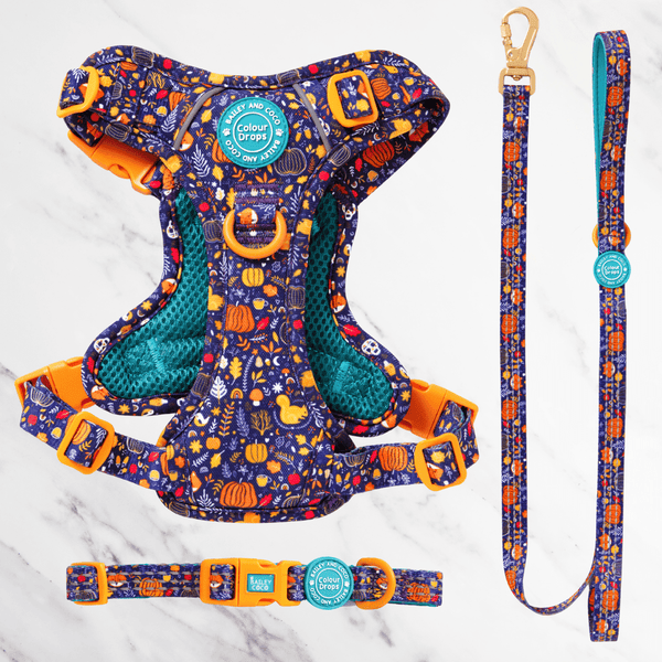 Bewitched Adjustable Dog Harness, Lead & Collar Bundle - Bailey and Coco (UK)