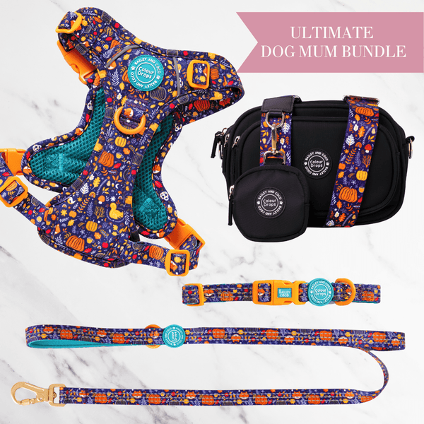 Bewitched Adjustable Dog Harness, Lead, Collar & Dog Walking Bag Bundle - Bailey and Coco (UK)